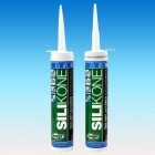 SILICONE ANTIMUFFA